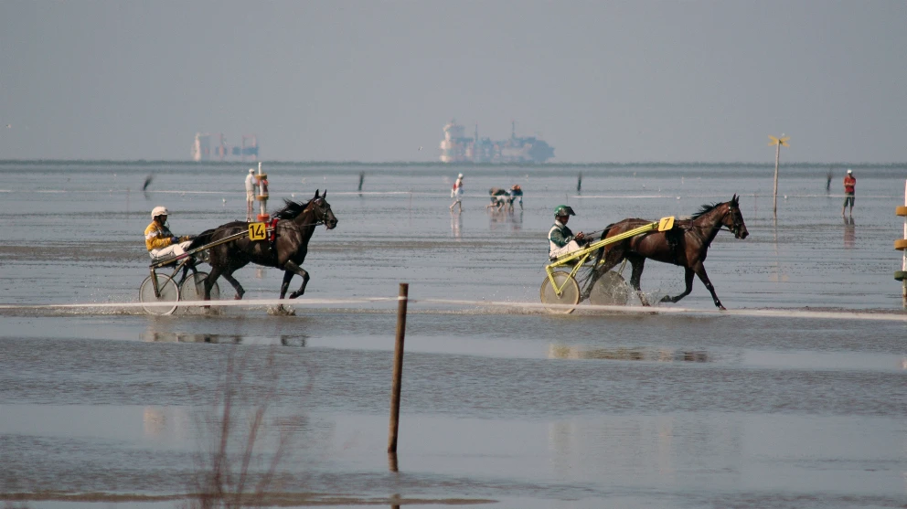 Duhner Wattrennen im Watt in Duhnen bei Cuxhaven