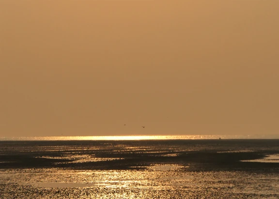 Romantischer Blick auf das Wattenmeer bei Sonnenuntergang am Strand von Cuxhaven-Duhnen