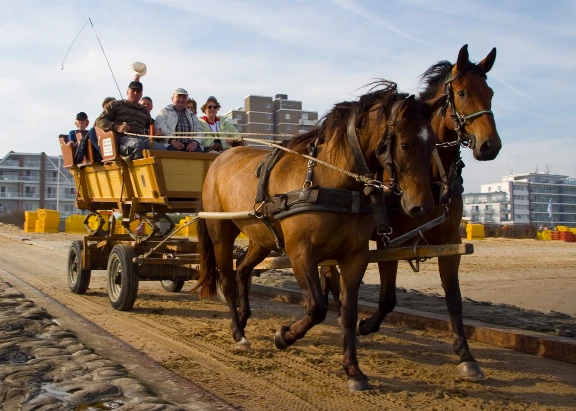 Wattwagenfahrten in Duhnen bei Cuxhaven zur Insel Neuwerk