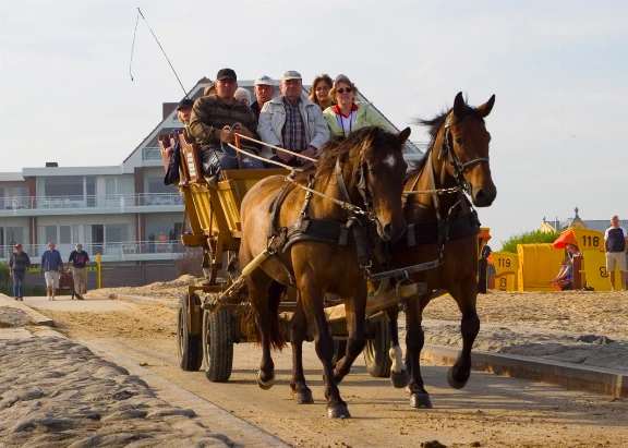 Bild zur Wattwagenfahrt von Cuxhaven-Duhnen zur Insel Neuwerk, zu sehen sind zwei Pferde, die Wattwagenkutsche und Gäste auf der Kutsche